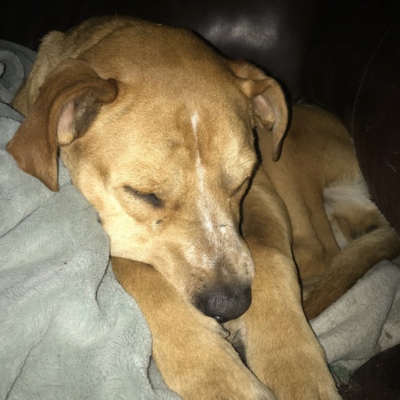 Meet your Posher, Katherine - Picture 1 of 1